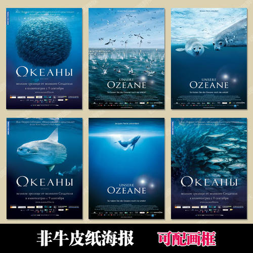 国际驾照哪里可以考